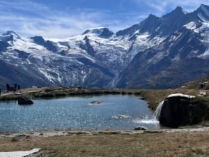 00ba146c 37a5 4345 bff0 90489db8aea5