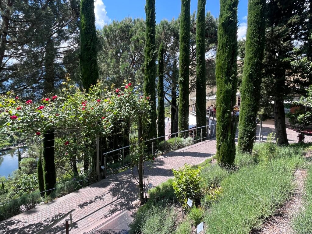 14d68bc3 8f90 4fdf 8f46 44e7bc09f194