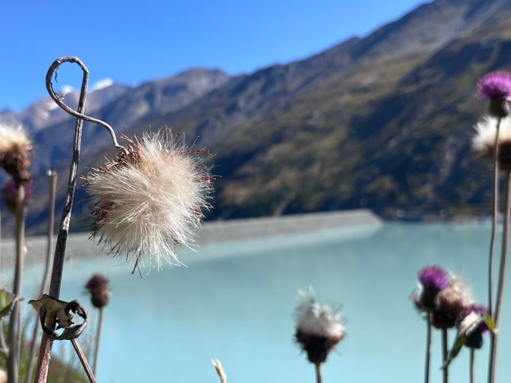 1acfbbe8 a042 4632 bc2f da9d00c03d6f