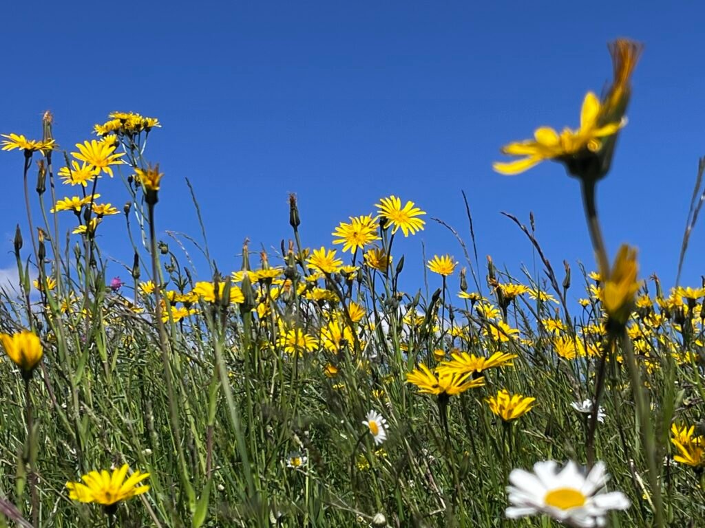 1cfe243f 3602 4657 8244 ba024c7dbb4e