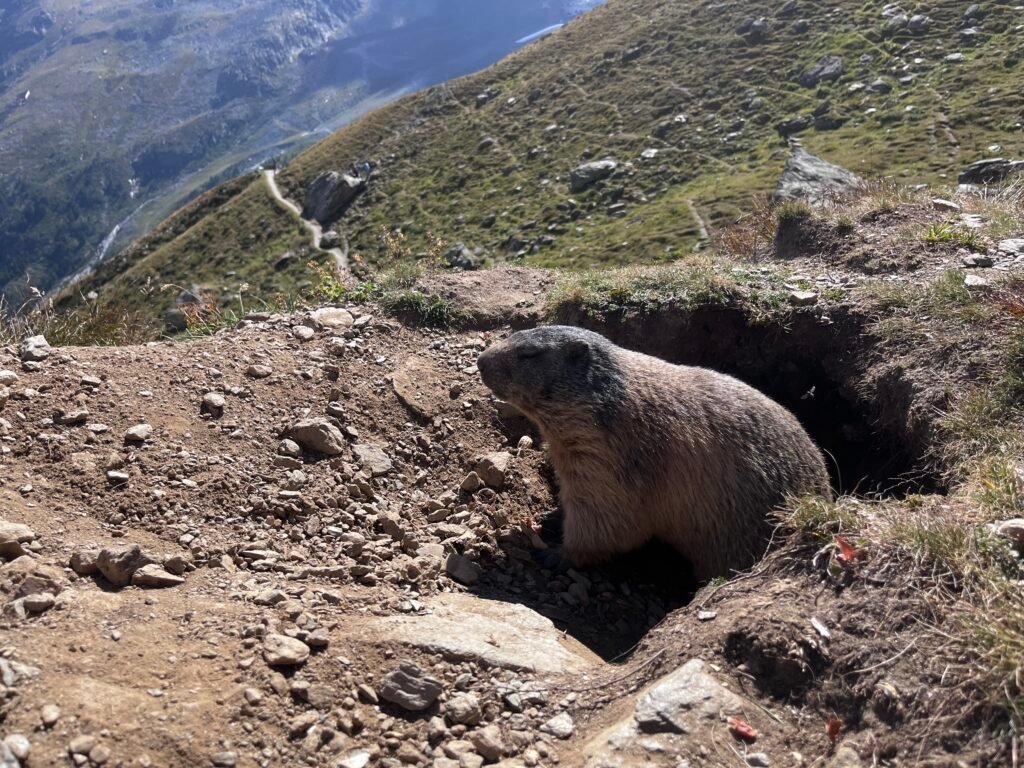 22d883b8 fa6e 422a 8c64 c1f88fc48801