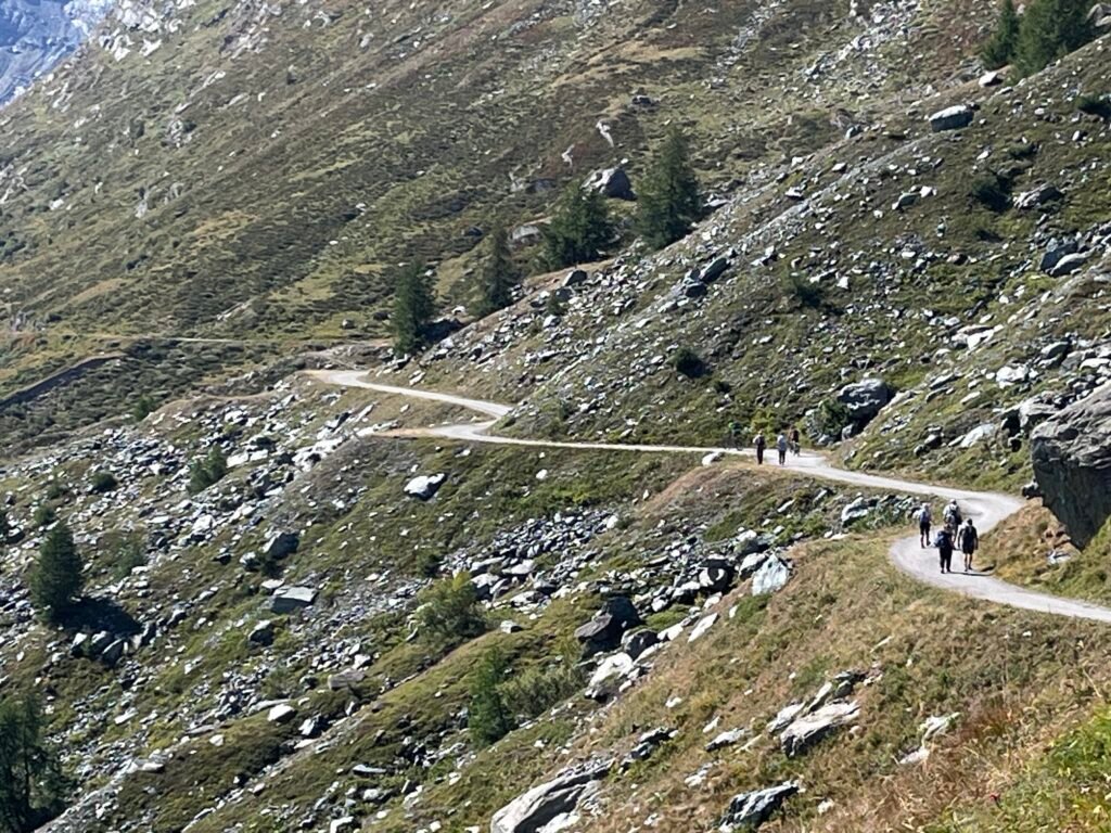 3818687c 2609 4e1d b82d 3a9135193a3e