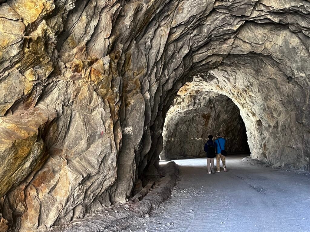 4acf8cb6 49bf 4c22 9f32 ba64fa8ba6ff