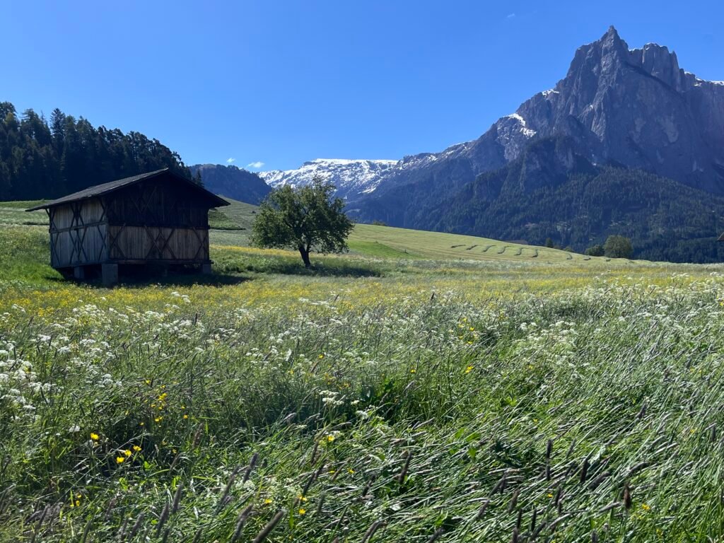 6fca280c ff7f 4efb a284 e2d93ab3e248