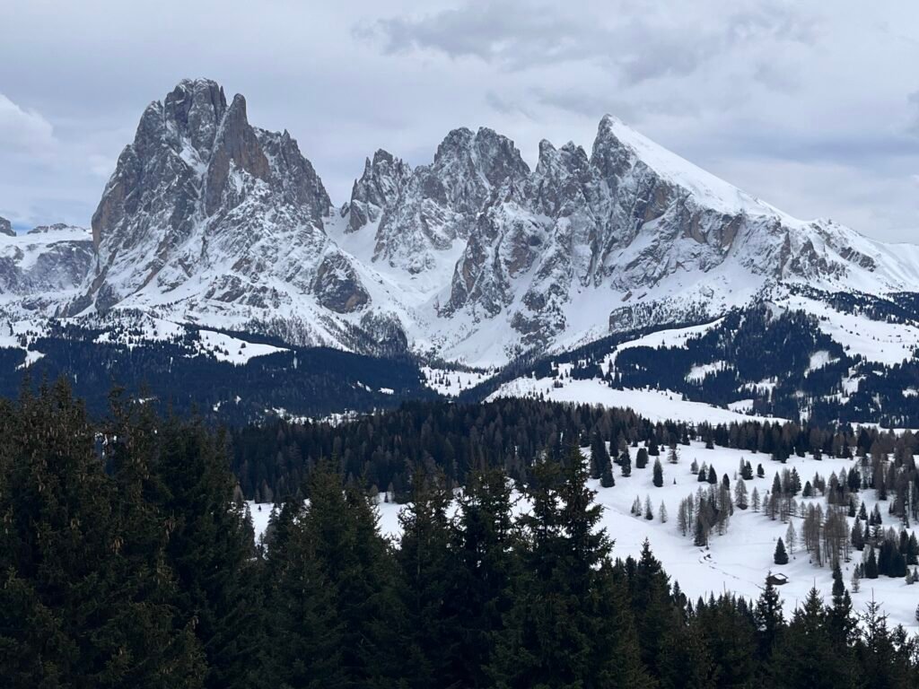 7767a46d 3636 4025 86a8 3649c32c8235