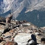 8914cd70 d561 4c81 a222 c587bd2e27c6