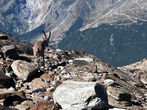 8914cd70 d561 4c81 a222 c587bd2e27c6