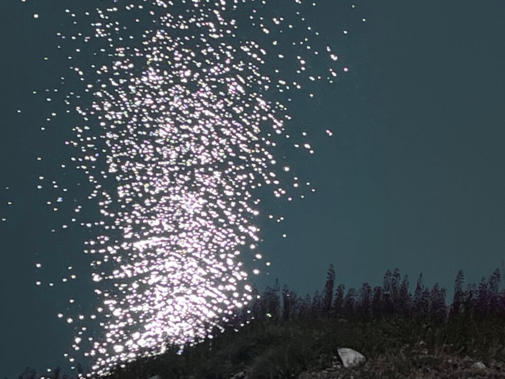 8c7b6e5a 0012 4c68 aa44 b557c715c161