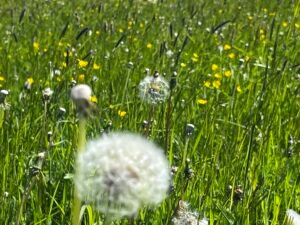 99681ad6 4d02 41fe b8a5 146fca3dd2f1