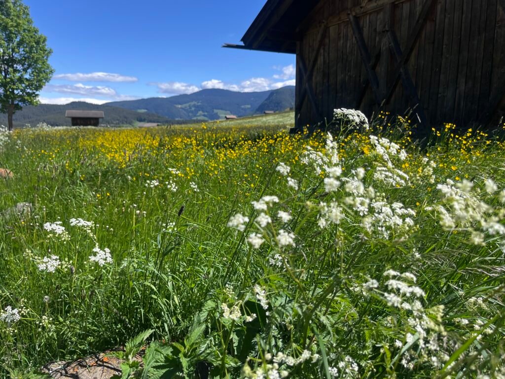 a2f57e21 59d6 449b ae93 c2af463ae03d