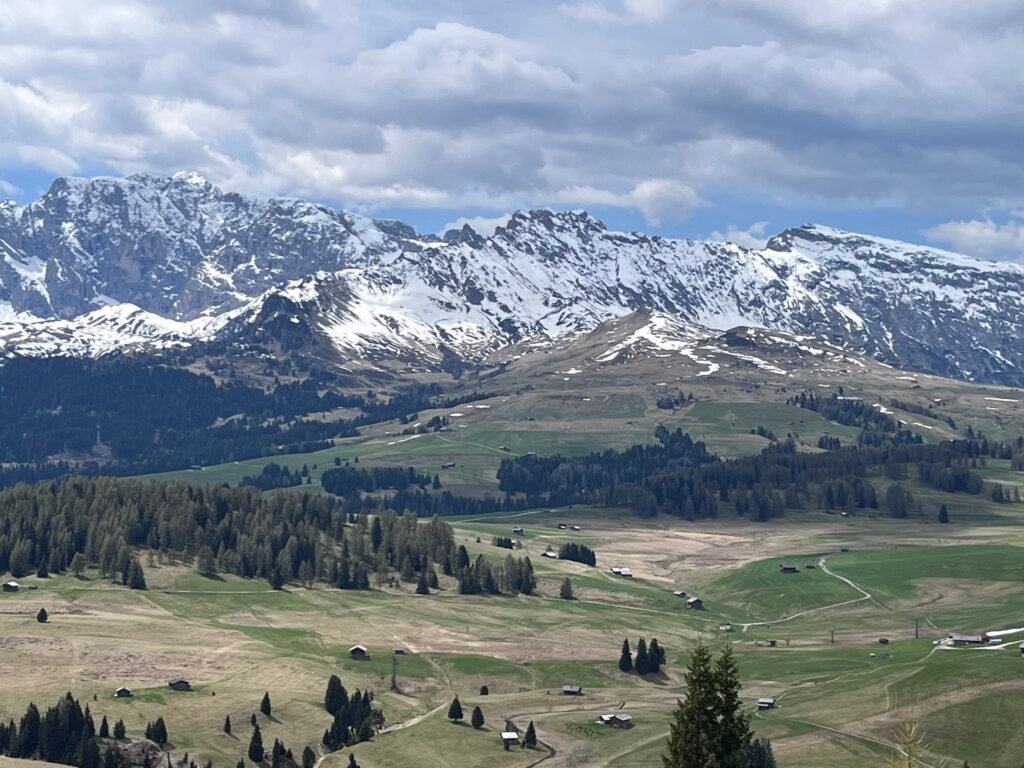 bddc48ee 7a5b 4975 9419 06de928004e1