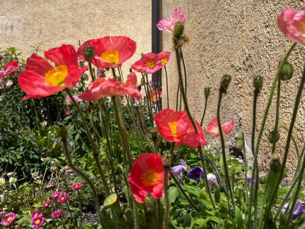 cb472485 6d78 4df1 8300 7c93e189de3c