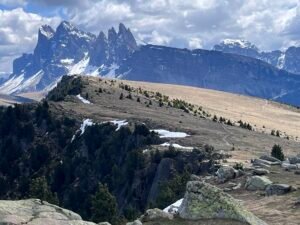 f7f7c579 3b62 4aeb 8d8e b038155c94ce