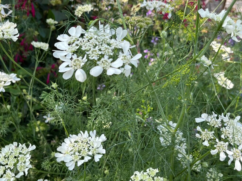 035ea236 d3d7 4cbd acb4 cd4531db614d