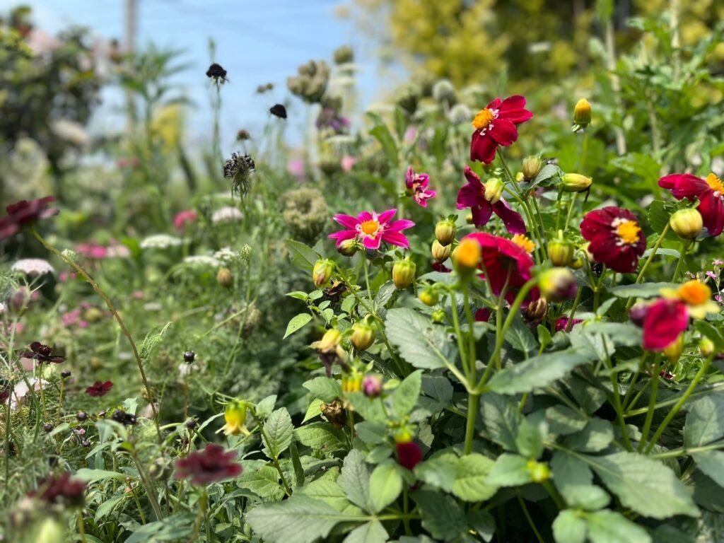 0adad776 dda9 4be5 aa2e a2d085dea20e