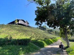 0b08b2d4 4773 4773 a666 882f507bfeaf