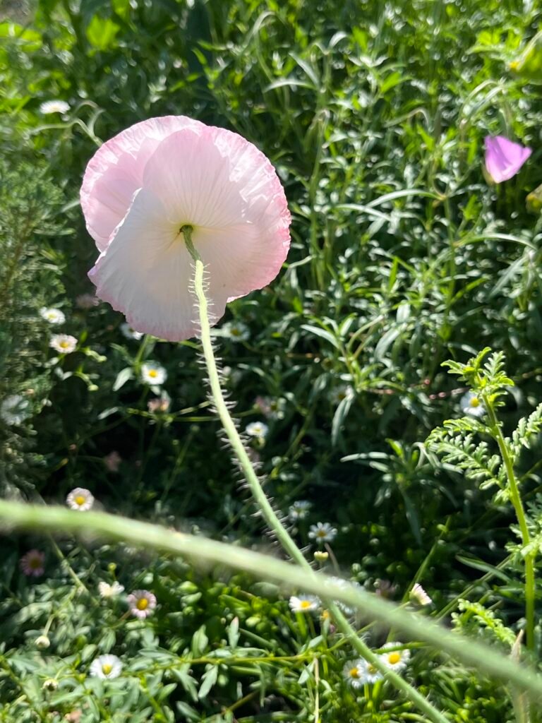 133e1fa1 5237 4954 889d df1280bbc54e