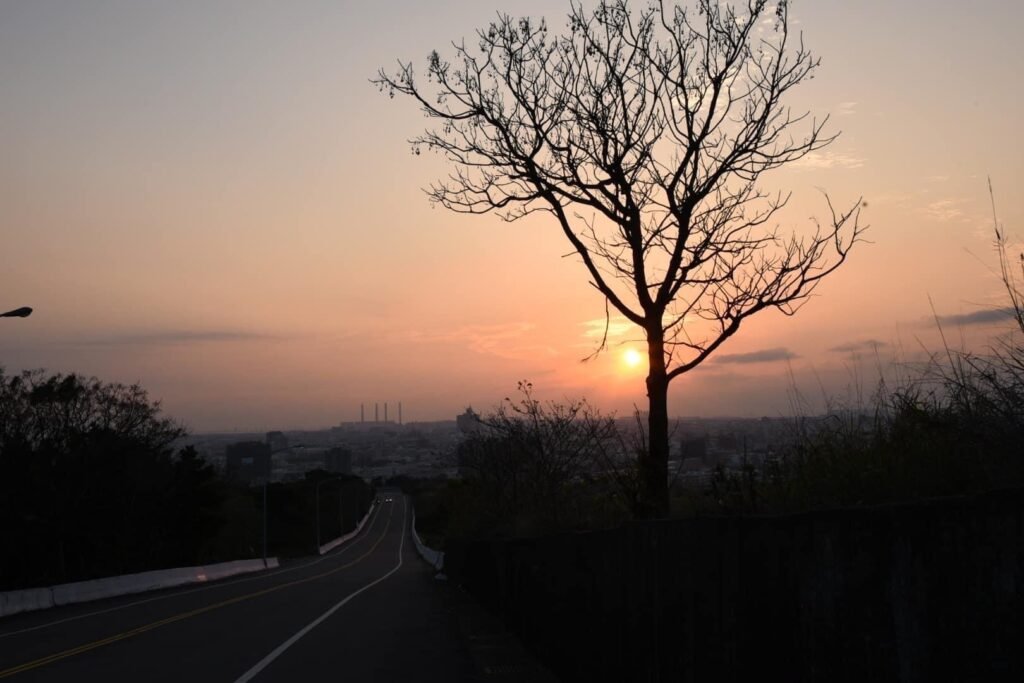 1fd407cd 3c3a 4dc9 9658 5f4a3c4c3be9