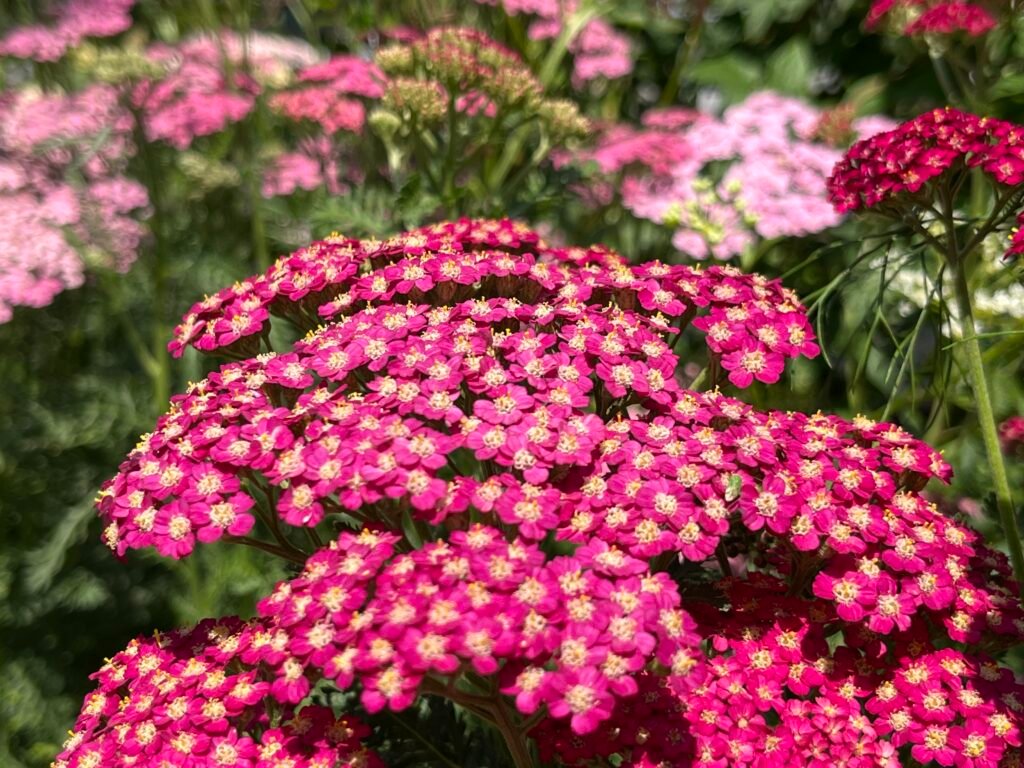 70cbafa1 d471 4185 a5dd f8c404c66c71