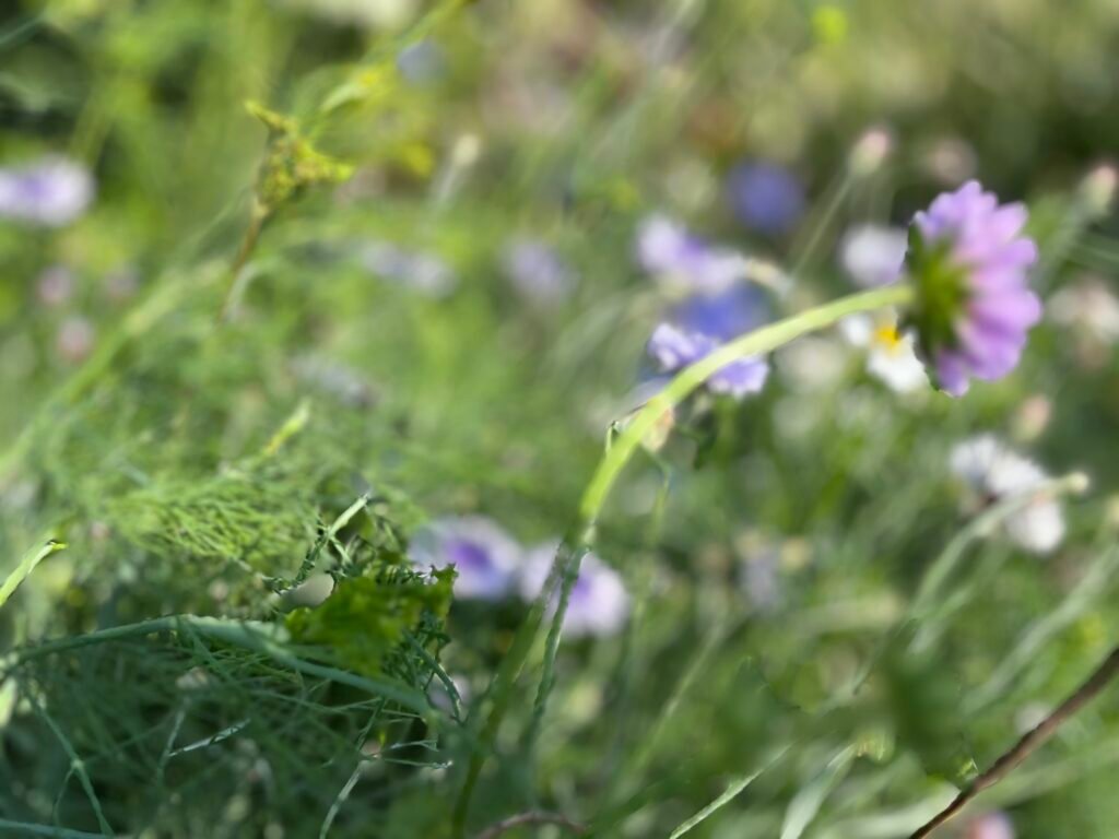 9011c2e6 7ad0 43eb 975d 919ca55b4337