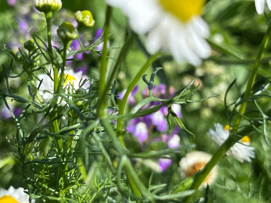 9ba5e504 31fd 4c00 a9de dba236d2342f