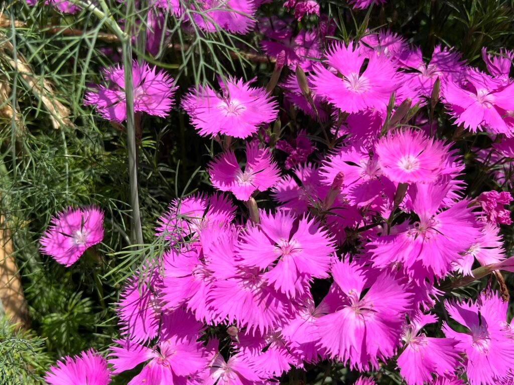 b76a6d63 194f 49a7 91d4 eeef181f2e77