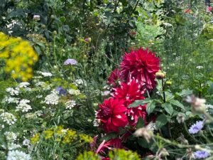 line album 香久園 260208 9