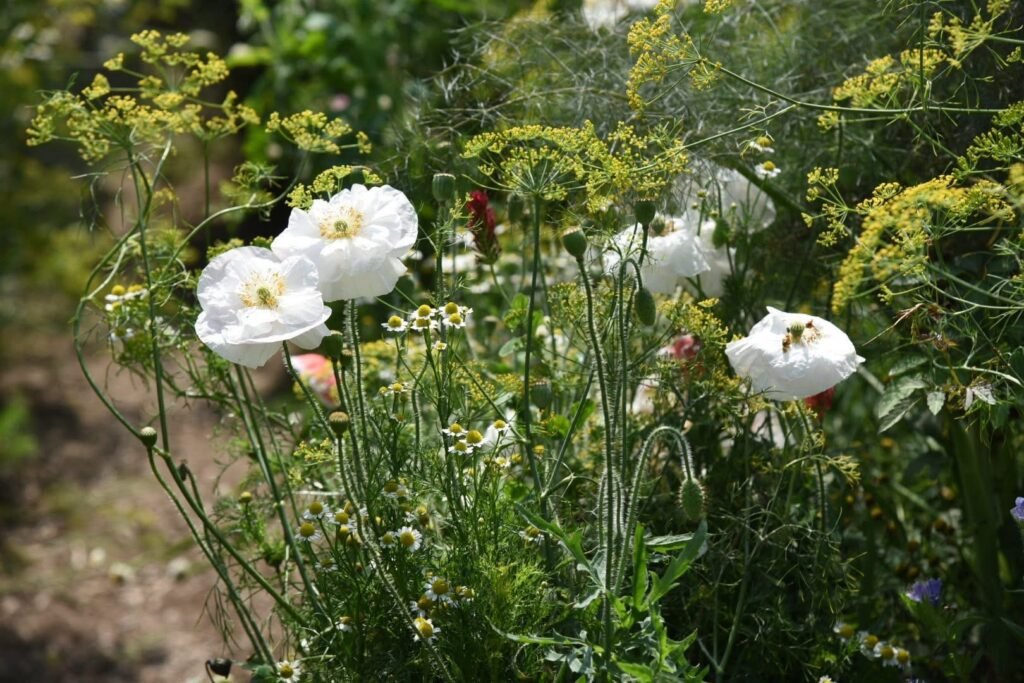 香久園Forever Garden