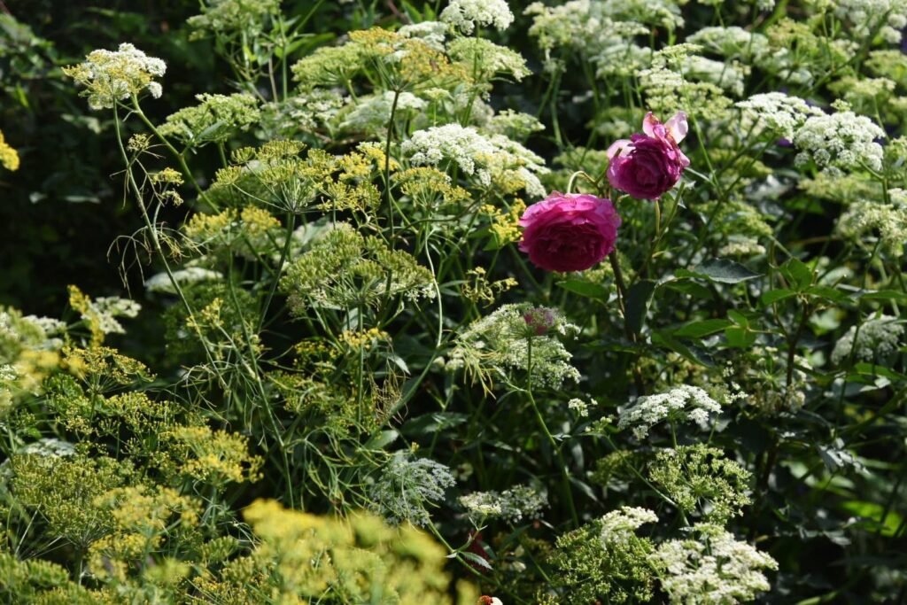 香久園Forever Garden