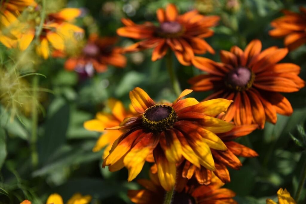 香久園Forever Garden