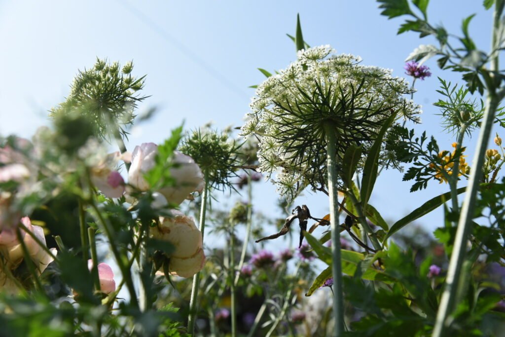 bd211bbc 5208 495f 9d3d 919d8a884772