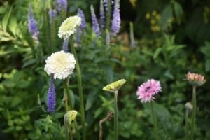 c02b0da4 c561 4136 88c0 f06a783addc3