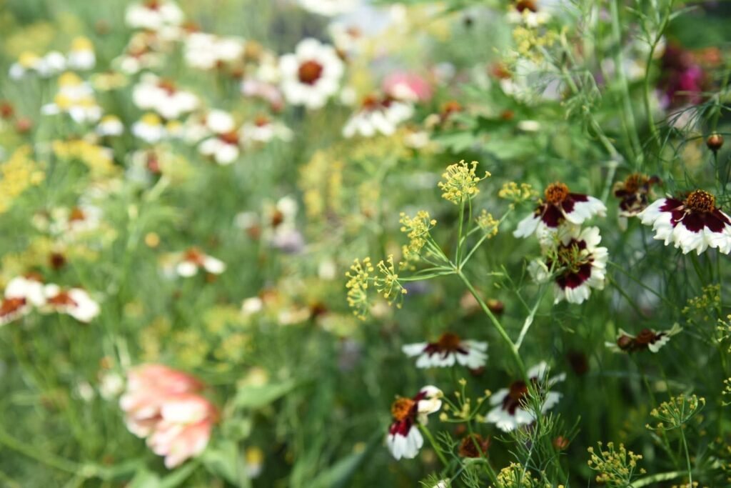 香久園Forever Garden