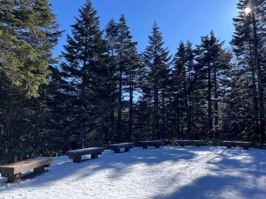 ea6f8573 6c9f 4b6e bcd8 7119040d438f