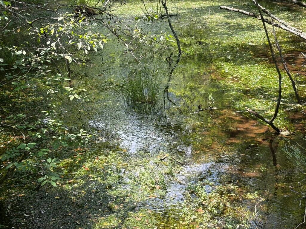 上高地