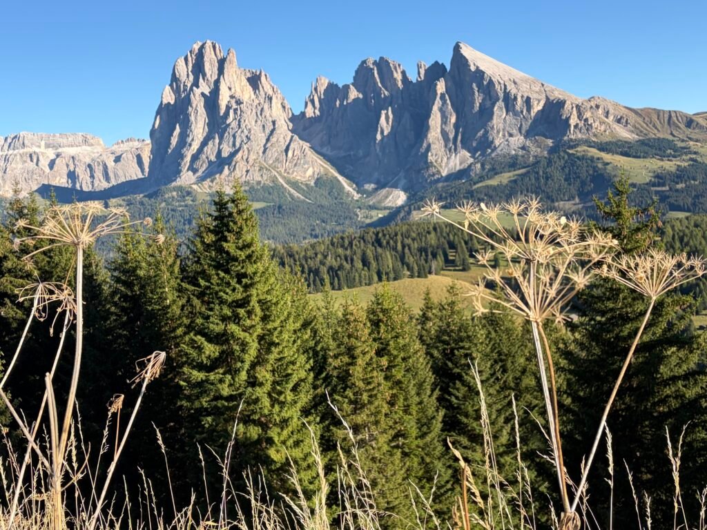 休斯高原(Alpe di Siusi) 傍晚