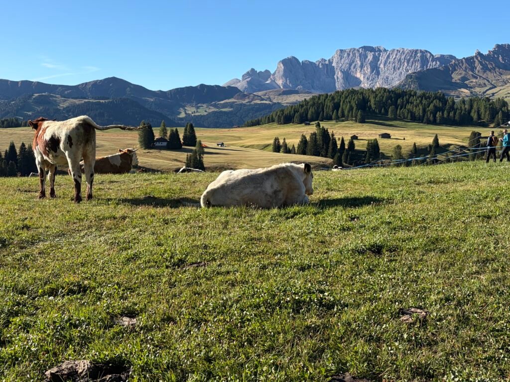 休斯高原(Alpe di Siusi) 