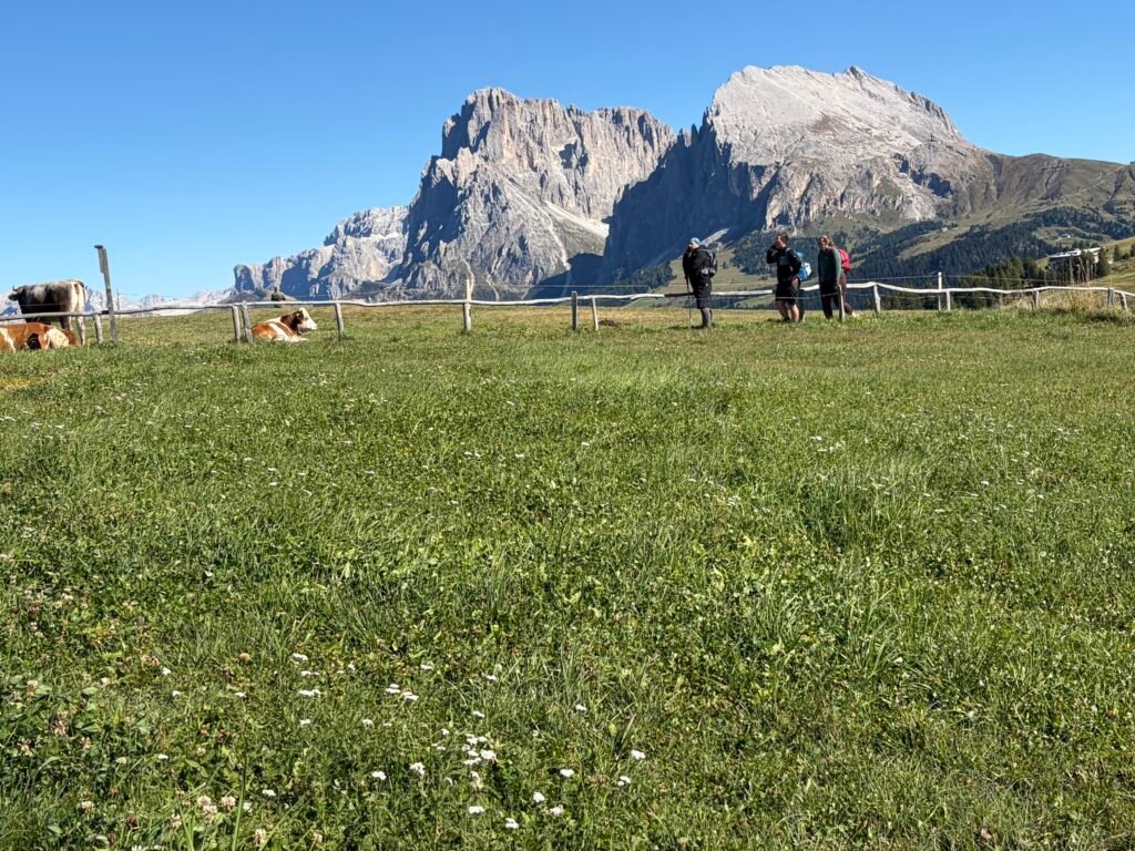 休斯高原(Alpe di Siusi) 療癒的童話世界 從修希小鎮出發 休斯高原(Alpe di Siusi)