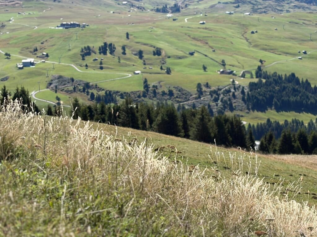 休斯高原(Alpe di Siusi) 療癒的童話世界 從修希小鎮出發 s 128524318