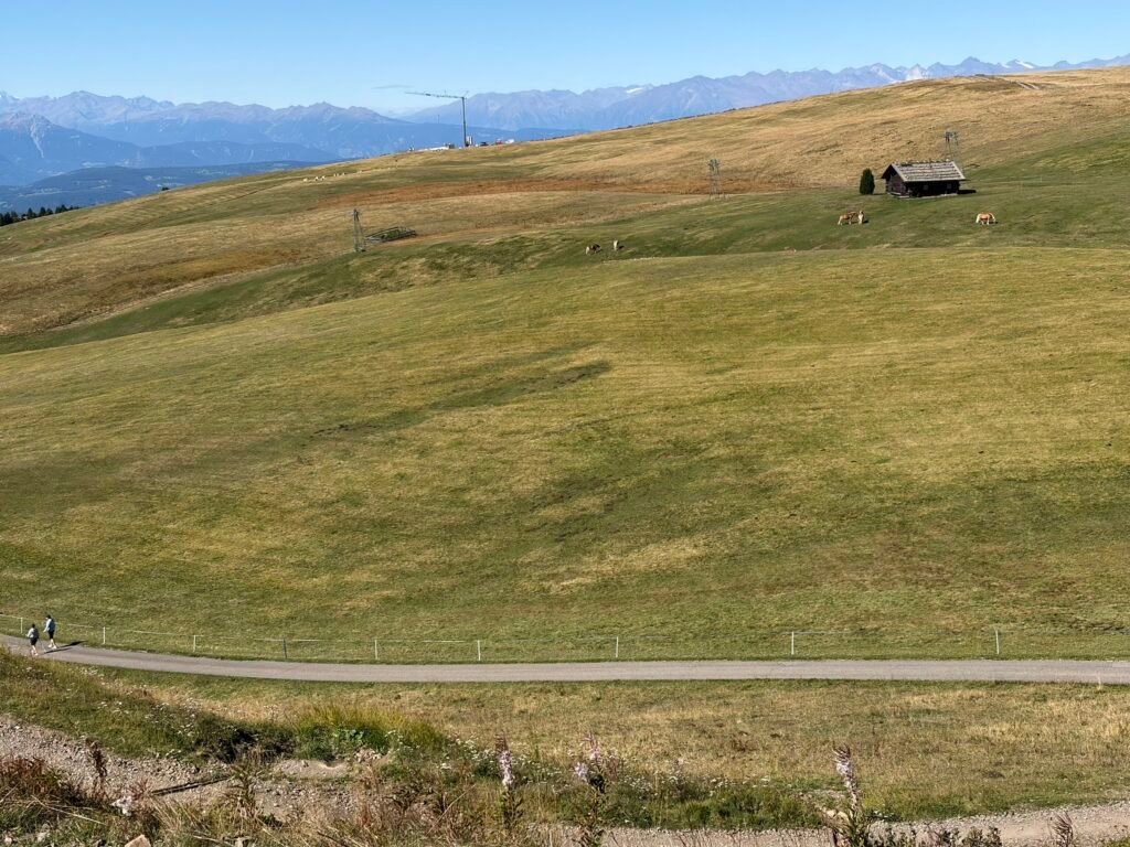 休斯高原(Alpe di Siusi) 療癒的童話世界 從修希小鎮出發 休斯高原(Alpe di Siusi)